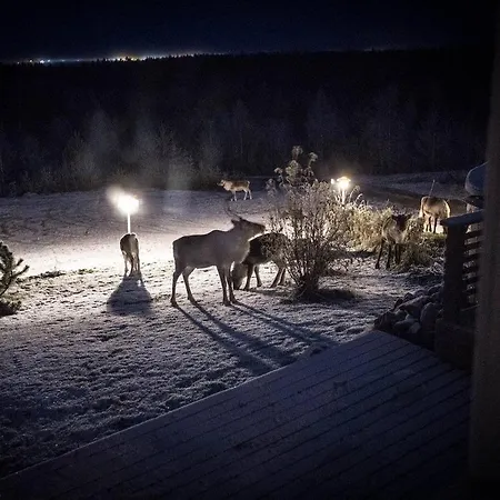 빌라 Pahta, Than Just