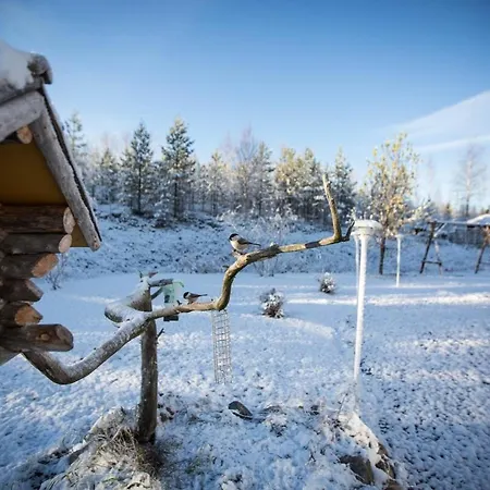 Pahta, Than Just * Rovaniemi